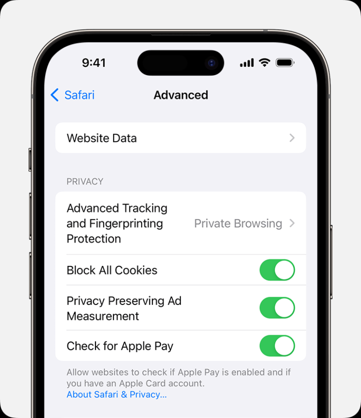 Backdate 2 Clear The History, Cache, And Cookies From Safari On Your IPhone