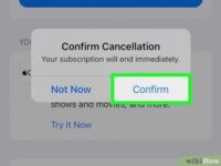 Backdate 2 How to Cancel Subscriptions on an iPhone:  Quick Steps