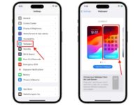 Backdate 4 How to Delete Wallpaper on iPhone  Beebom