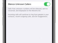 Niche Utama 1 Blocking spam risk and telemarketer calls – Apple Community