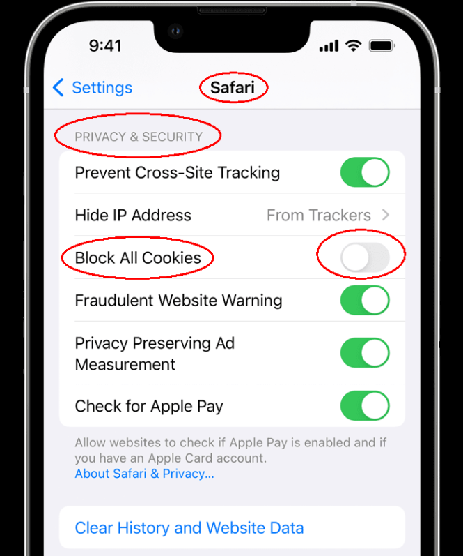 how to enable cookies on an iphone Niche Utama 1 How to enable cookies on iPhone?