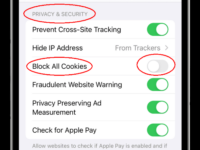 Niche Utama 1 How to enable cookies on iPhone?