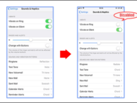 Niche Utama 1 How to Put Your iPhone in Ring or Silent Mode