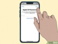 Niche Utama 1 How to Unlock an iPhone Passcode without a Computer:  Ways