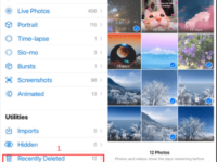 Niche Utama 1  Proven Ways to Retrieve Deleted Photos on iPhone 1/