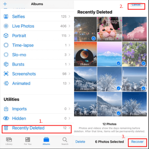 Niche Utama 1  Proven Ways To Retrieve Deleted Photos On IPhone 1/