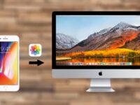 Niche Utama 2 Best Ways to Transfer Photos from iPhone to Mac