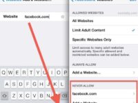 Niche Utama 2 Block Specific Web Sites in Safari for iOS with a “Never Allow” List