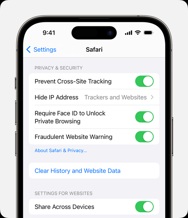 Niche Utama 2 Clear The History, Cache, And Cookies From Safari On Your IPhone