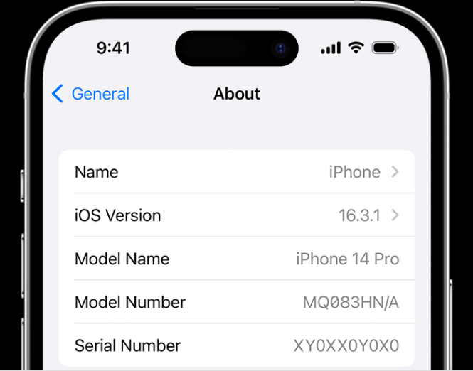 Niche Utama 2 Find The Serial Number Or IMEI On Your IPhone, IPad, Or IPod Touch