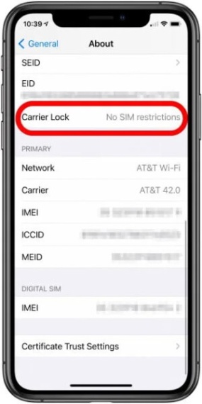 Niche Utama 2 ] How To Check If Your IPhone Is Unlocked? Easy Peasy!