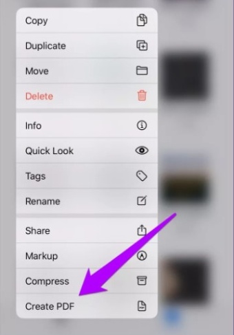 Niche Utama 2 How To Convert A Picture To PDF On IPhones