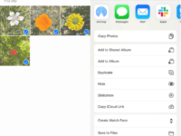 Niche Utama 2 How to Share an Album on iPhone (): The Complete Guide