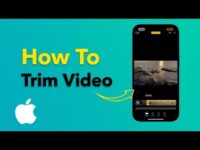 Niche Utama 2 How To Trim Videos on iPhone? #trimvideo – YouTube