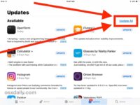 Niche Utama 2 How to Update All Apps on iPhone and iPad