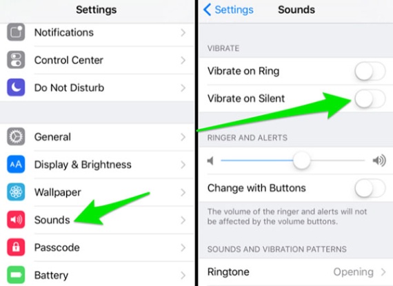 Niche Utama 2 Top  Solutions To IPhone Vibration Not Working