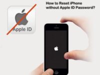 Niche Utama 2 Top  Ways to Reset iPhone without Apple ID Password